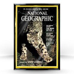 National Geographic Frame Kit
